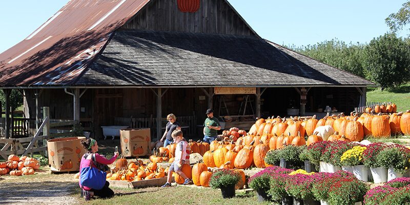 Weston Red Barn Farm