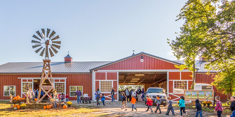KC Pumpkin Patch