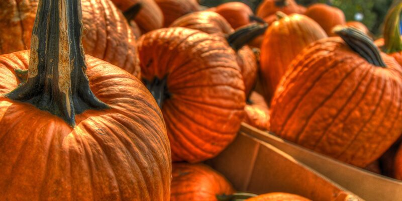 Pumpkins