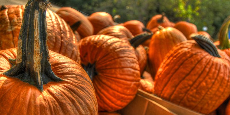 Pumpkins