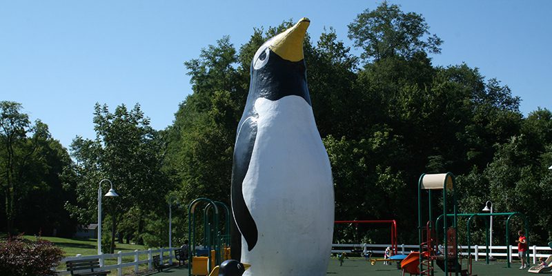 Penguin Park