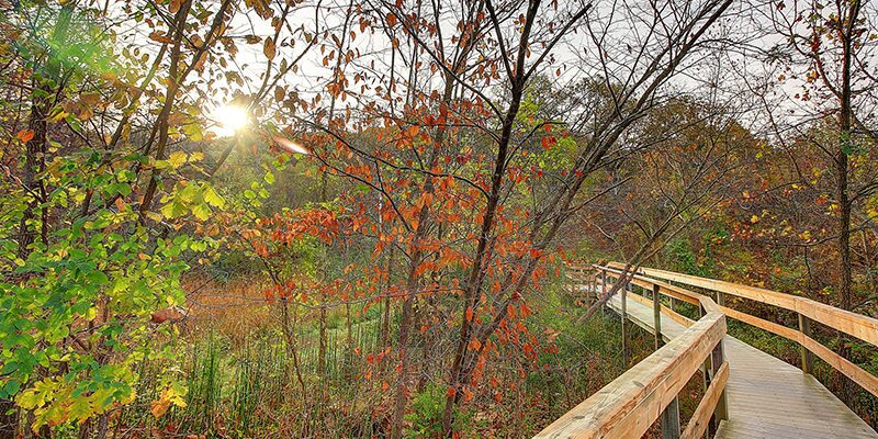 Parkville Nature Sanctuary