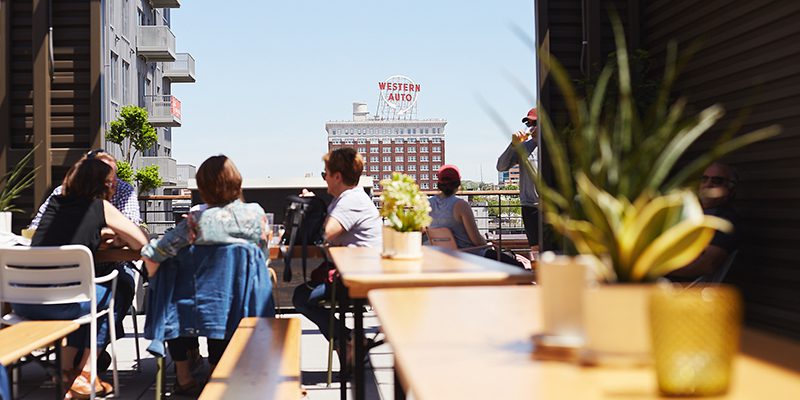Percheron at Crossroads Hotel | Pilsen Photo Co-op