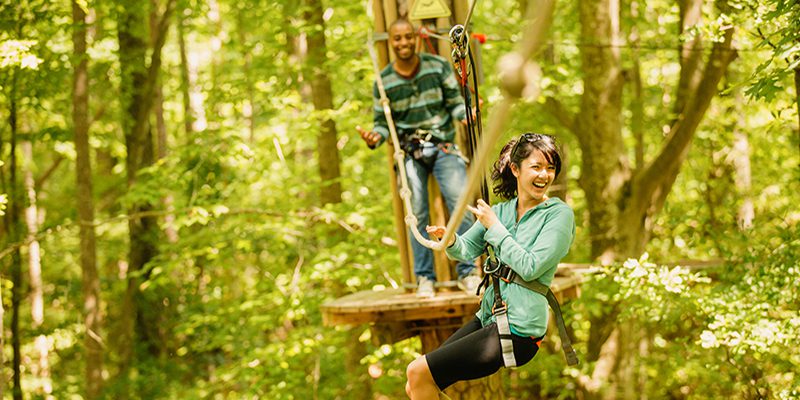 Go Ape Treetop Adventure