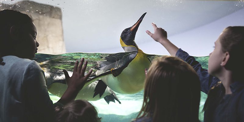 Kansas City Zoo