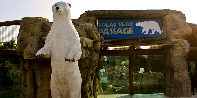 Polar Bear Passage at the Kansas City Zoo & Aquarium