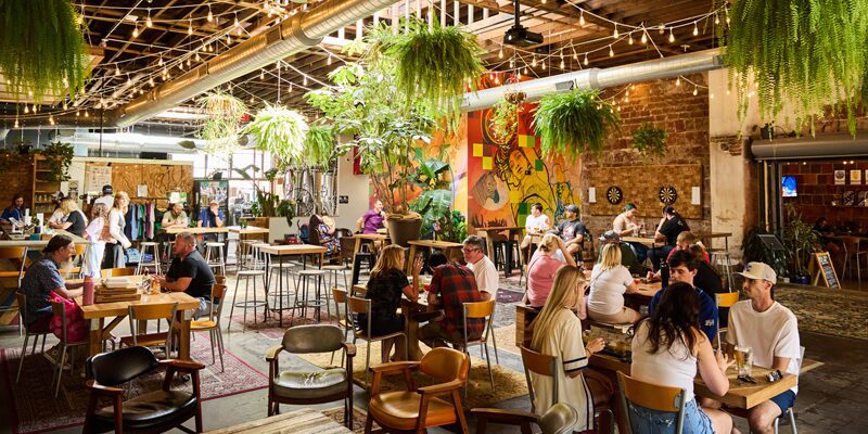 Casual Animal Brewing Co. in the East Crossroads