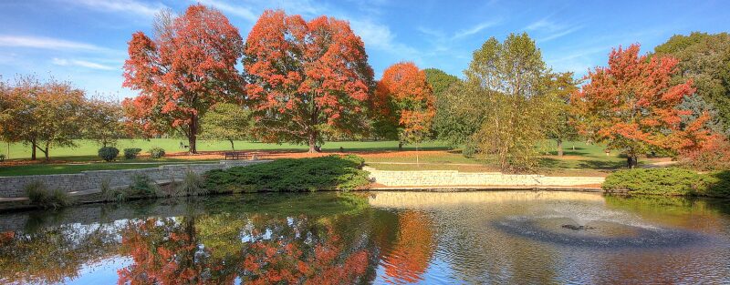 Loose Park Pond