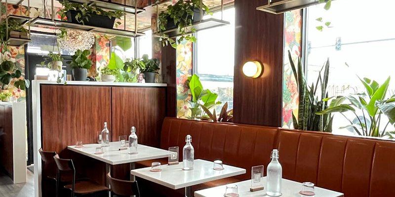 Wild Child interior