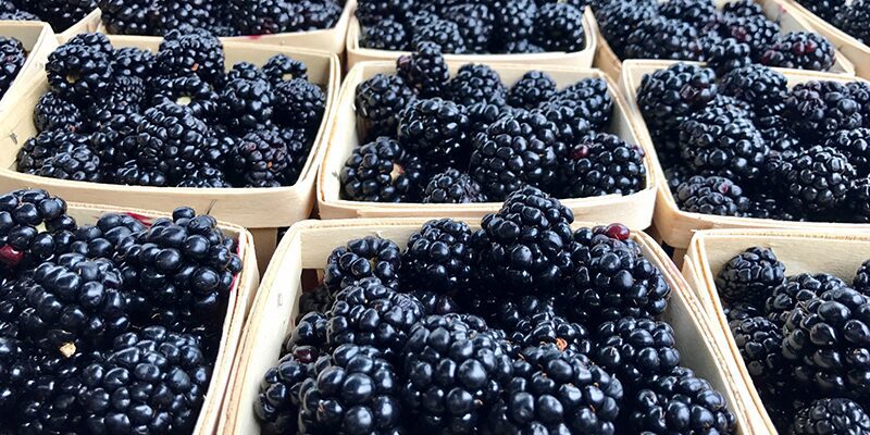 Overland Park Farmers Market