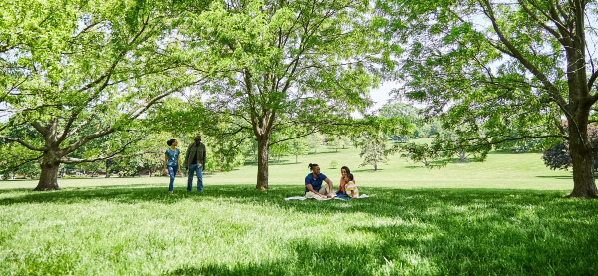 Loose Park – Pilsen Photo Co-op (1)