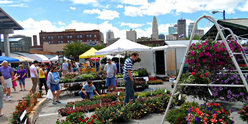 City Market – Image_1