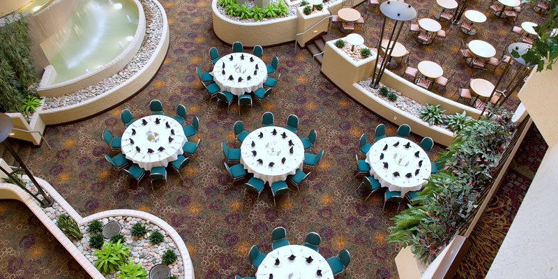 Embassy Suites by Hilton KCI – Image_2
