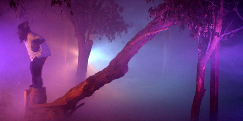 The Beast Haunted House – Image_2