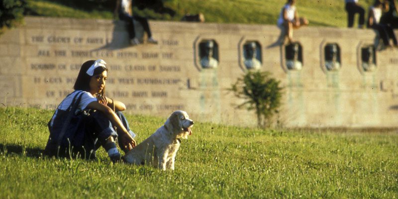Penn Valley Park – Image_1