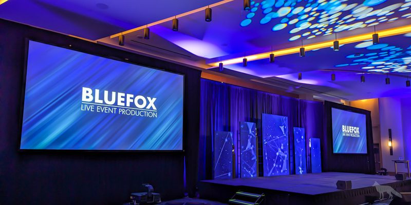 Bluefox Production – Image_5