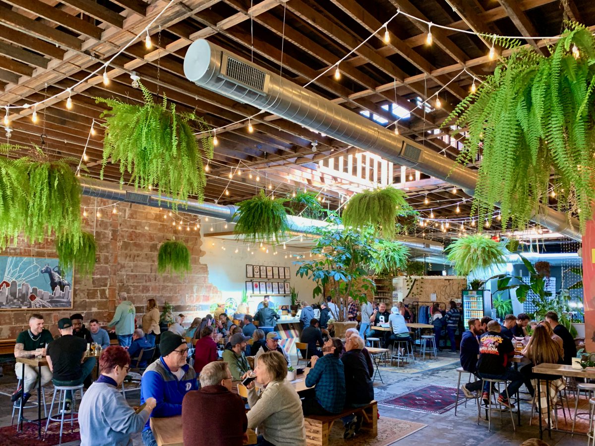 Casual Animal Brewing Company – Image_5