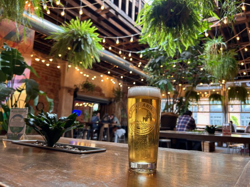 Casual Animal Brewing Company – Image_1
