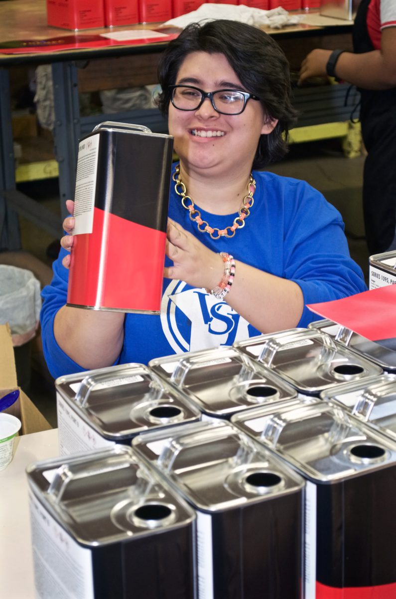 VSI, Vocational Services, Inc. – Image_3