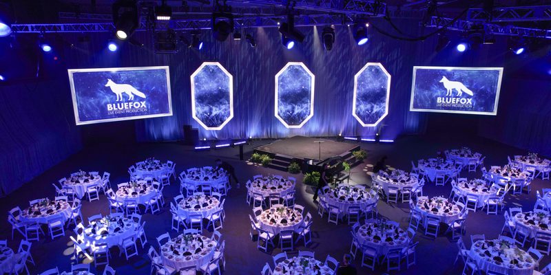 Bluefox Production – Image_1