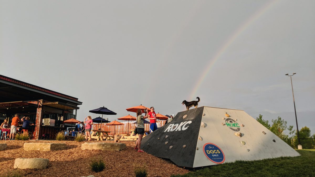 Bar K Dog Bar – Image_1