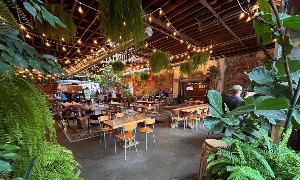 Casual Animal Brewing Company – Image_3