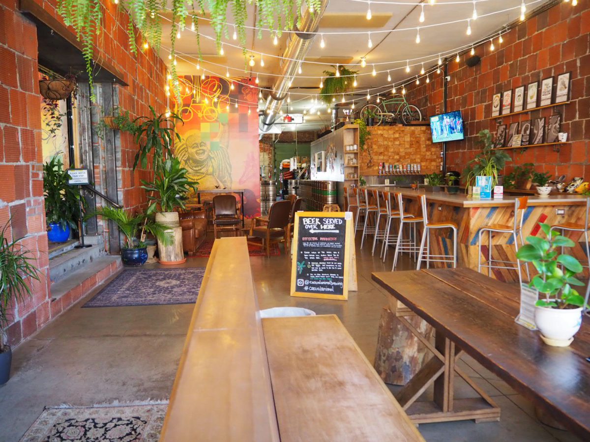 Casual Animal Brewing Company – Image_2