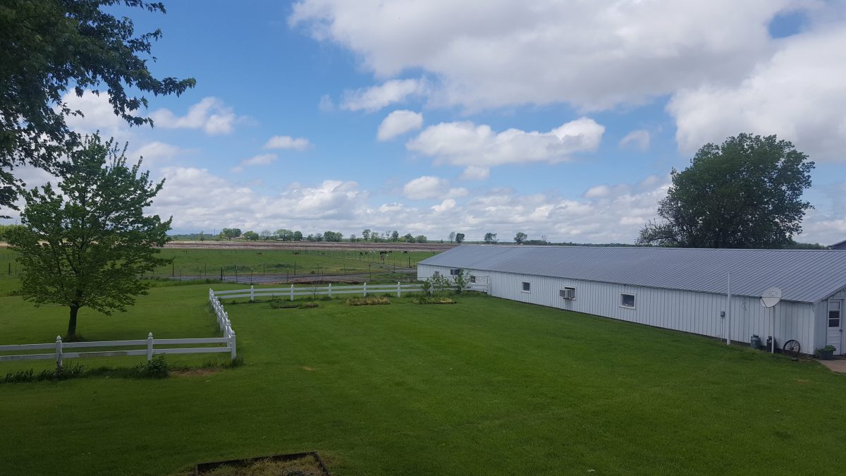 Yaya’s Alpaca Farm – Image_3