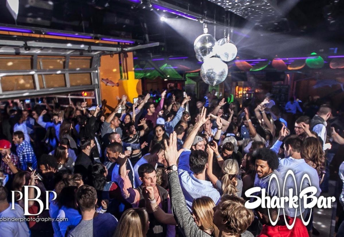 Shark Bar – Image_1
