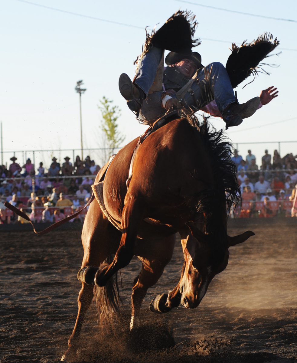 Miami County Fair & Rodeo – Event_Image