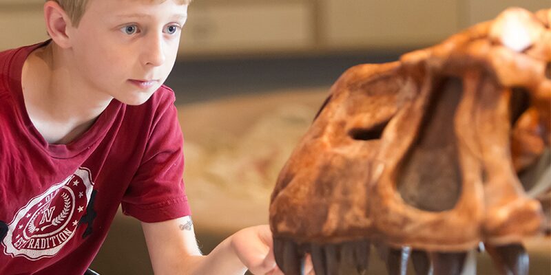 Museum at Prairiefire 800x400
