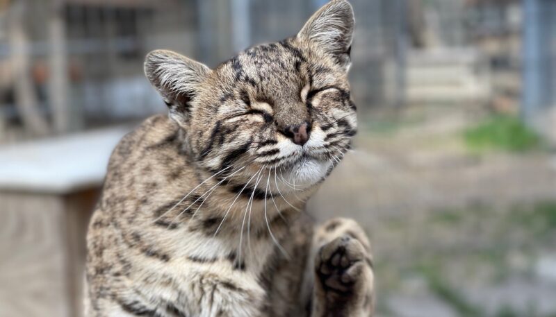 Miami County, KS – Image_1 [LISTING]