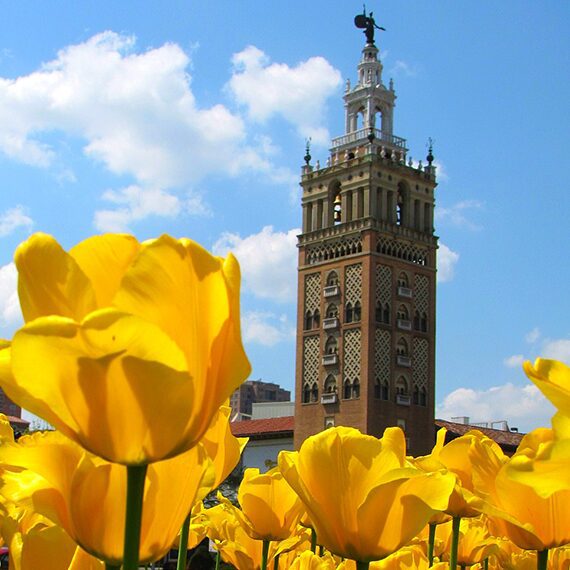 Spring at Giralda Tower