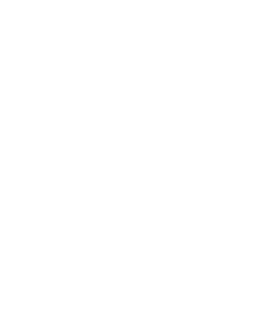 KC BBQ Experience