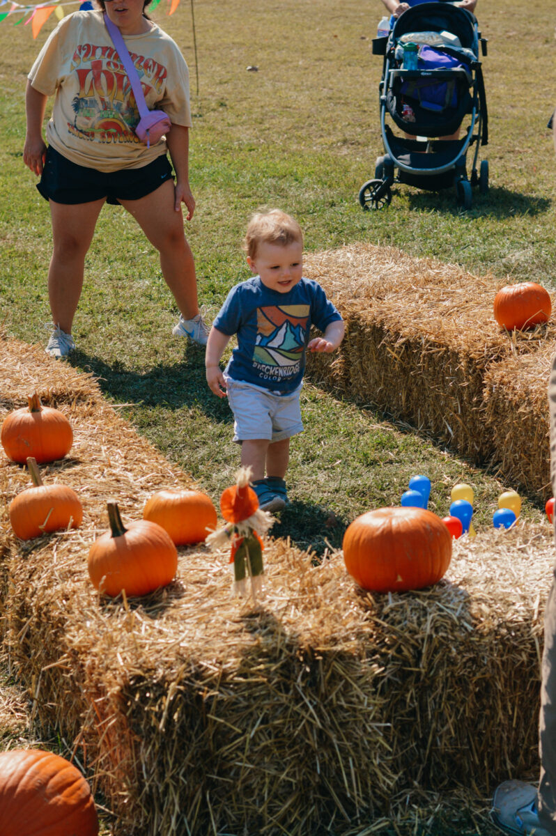 49th Annual Fall Festival of Arts, Crafts & Music – Event_Image4 [EVENT]