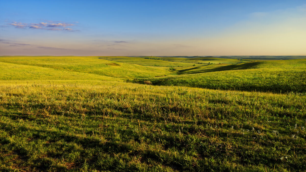 Flint Hills_02 – David Arbogast