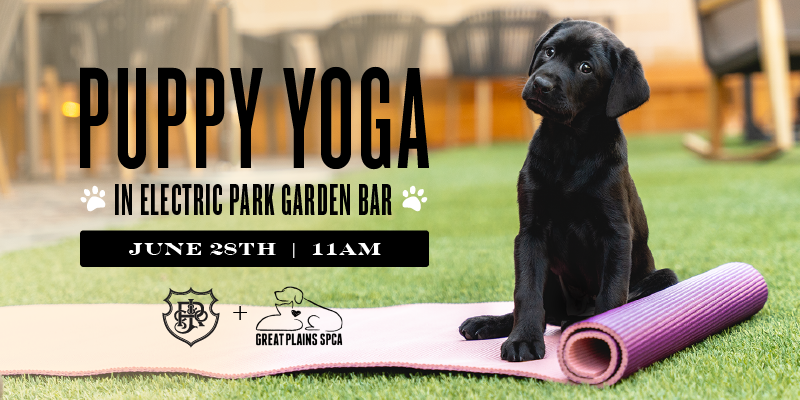 Puppy Yoga at Electric Park with GPSPCA – Event_Image [EVENT]