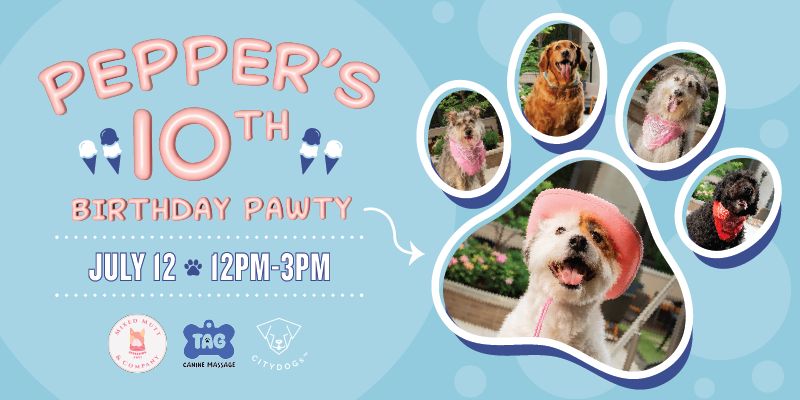 Pepper’s 10th Birthday Pawty – Event_Image [EVENT]