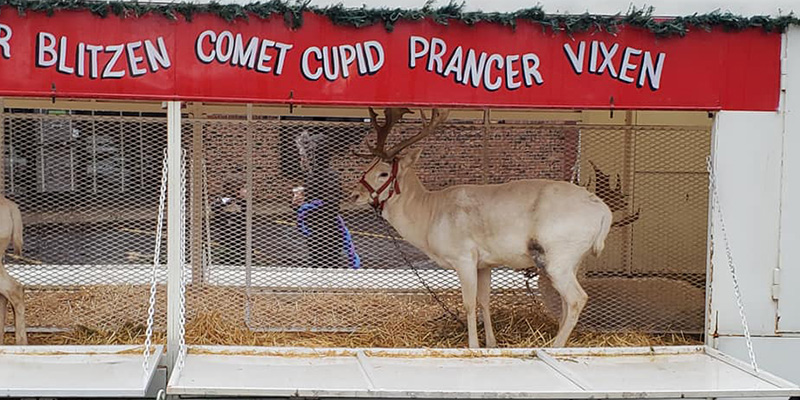 Shawnee Christkindl Markt – Event_Image2 [EVENT]