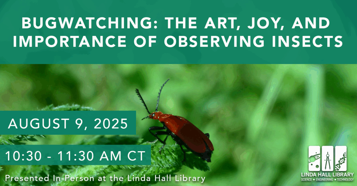 Bugwatching: The Art, Joy, and Importance of Observing Insects – Event_Image [EVENT]
