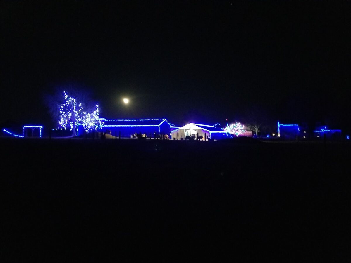 Yaya’s Alpaca Farm Annual Christmas – Event_Image [EVENT]