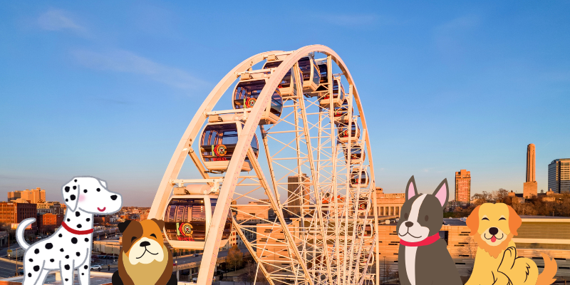 Waggin’ At The Wheel – Event_Image [EVENT]