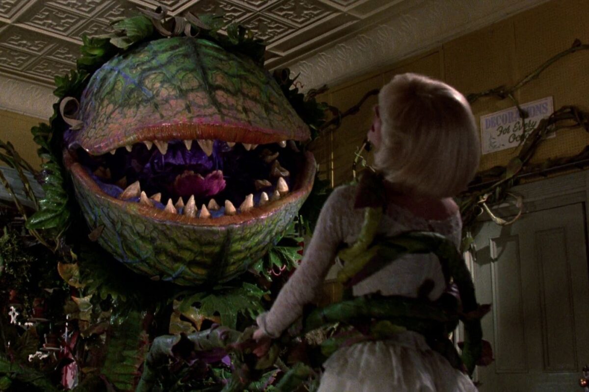 Little Shop of Horrors – Event_Image [EVENT]