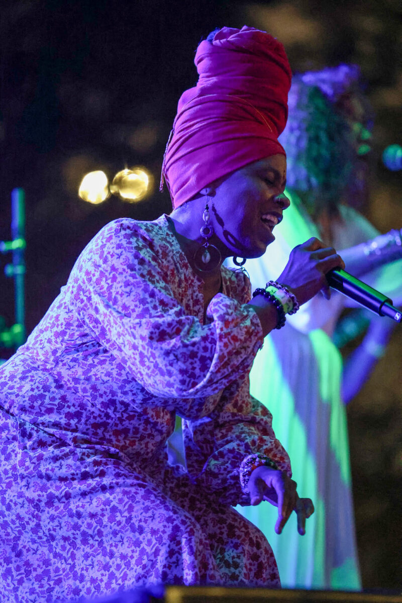 Kansas City Reggae Music & Jerk Festival – Event_Image4 [EVENT]