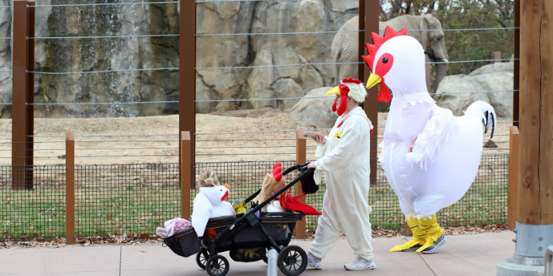 Boo at the Zoo – Event_Image [EVENT]