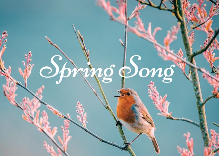 The Grammy-winning KC Chorale: Spring Song – Event_Image [EVENT]
