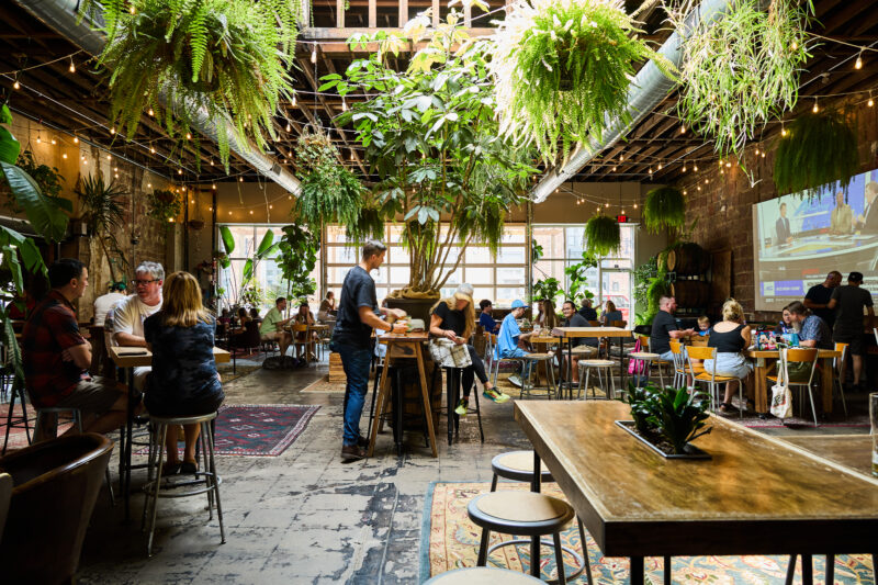 Casual Animal Brewing Co – Pilsen Photo Co-op (54) (2)