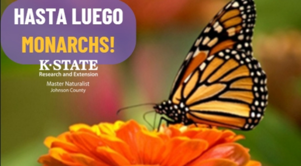 Hasta Luego Monarchs! – Event_Image [EVENT]