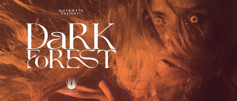 Dark Forest – Event_Image [EVENT]