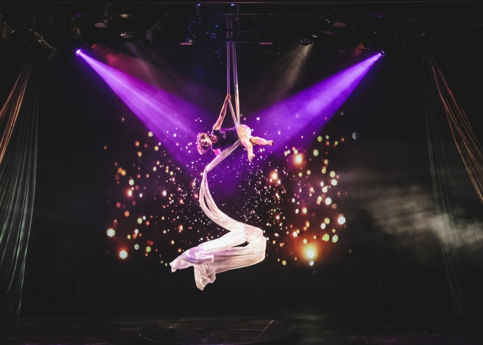Kansas City Aerial Arts – Image_4 [LISTING]
